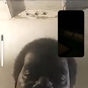 Meet your Posher, Marcus